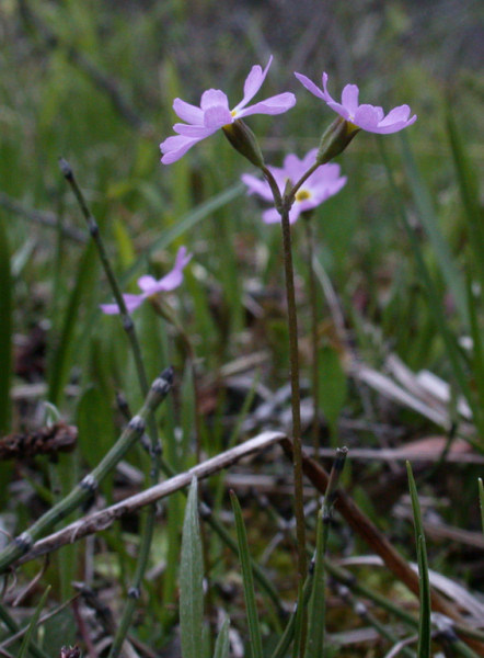 DSCN6344.jpg