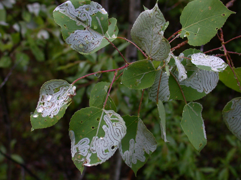 DSCN6368.jpg