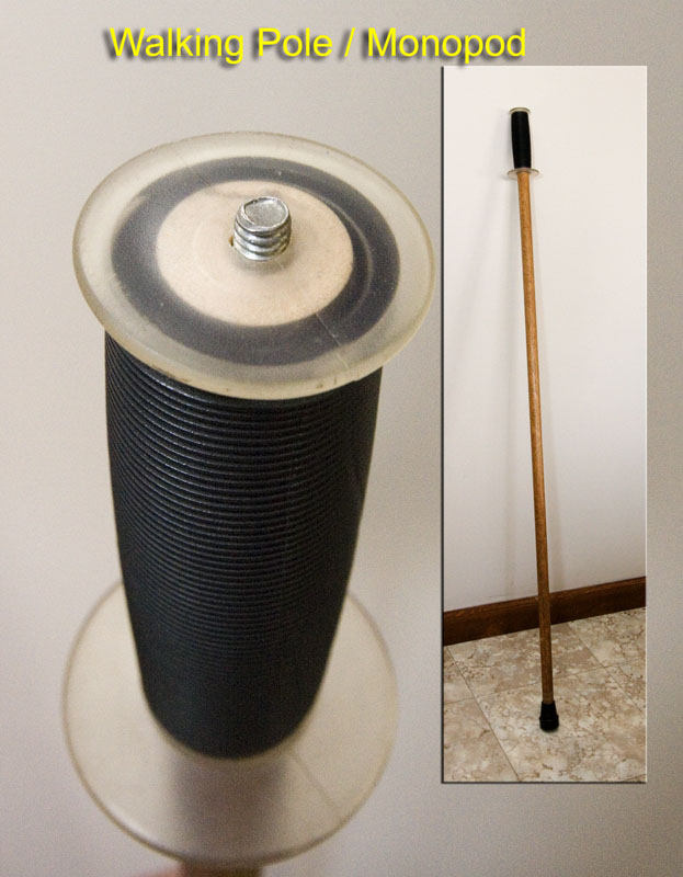 walking poles/mono-pod