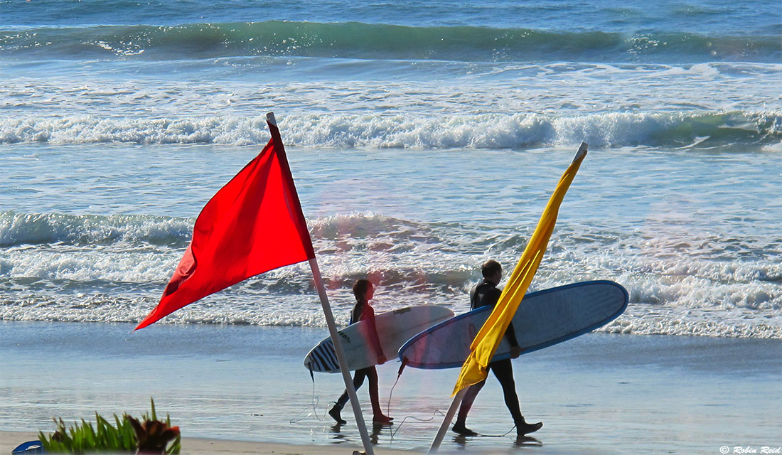 Del Mar Surfers