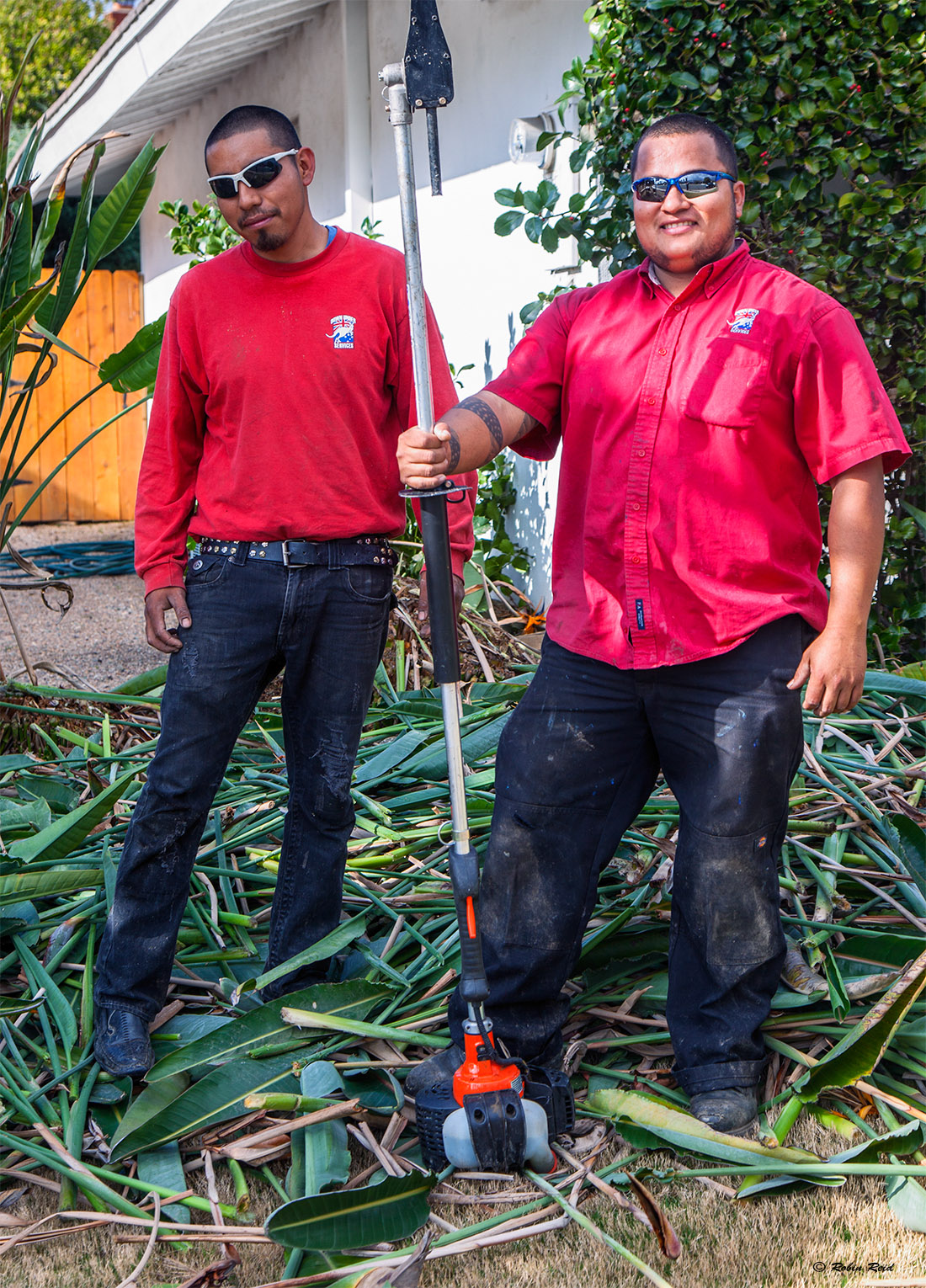 Working in the Yard