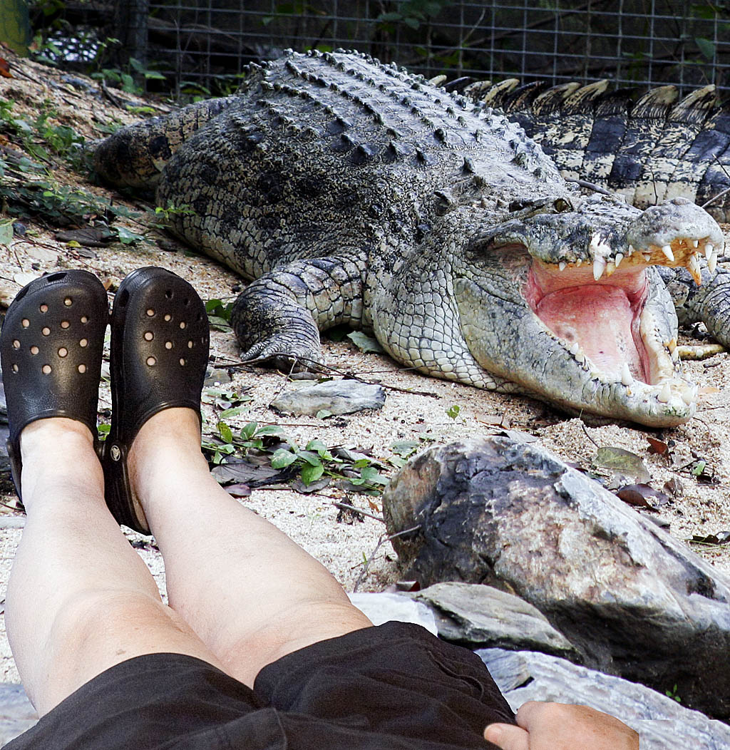 The Crocs