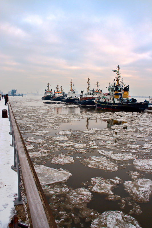 Tugs on the Elbe waterfront