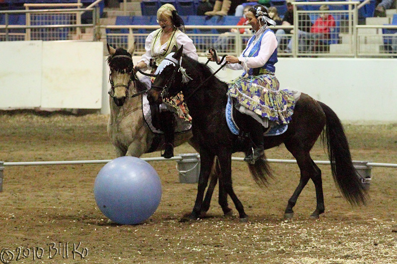 2010-01-15 paso fino 012.jpg