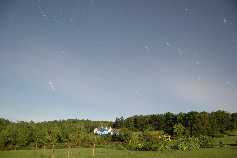 Moonlit landscape