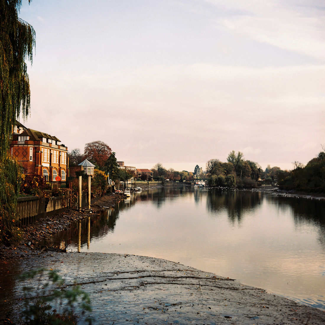 2010 - Autumn At Twickenham - 21898_001-0002