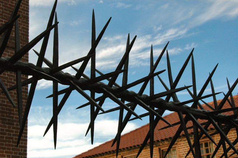 decorative and functional ironwork on the fence of the Miles Brewton house.jpg