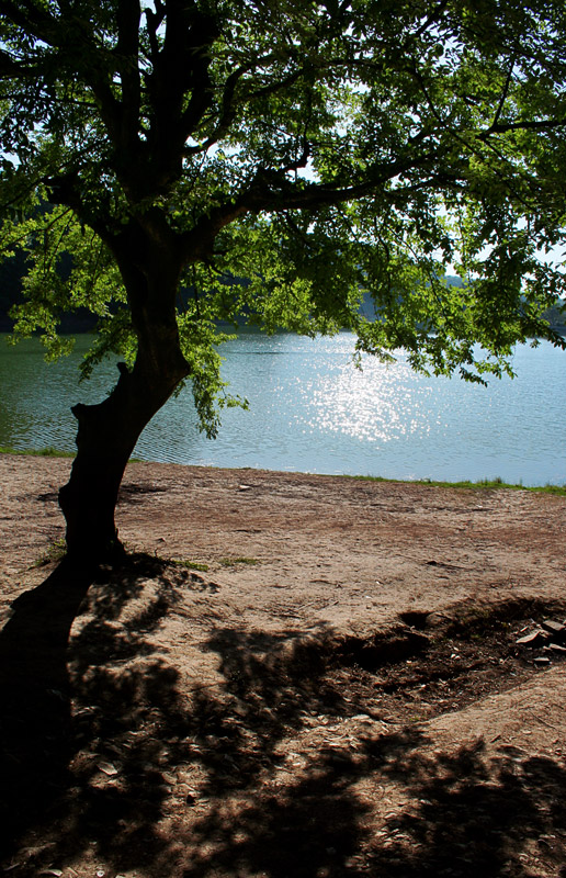 Silent Lake