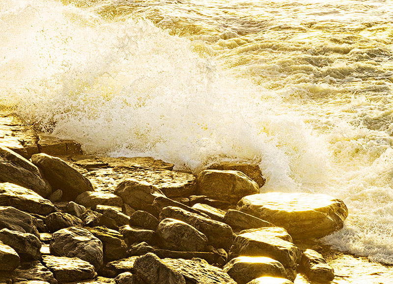 Golden Coastline