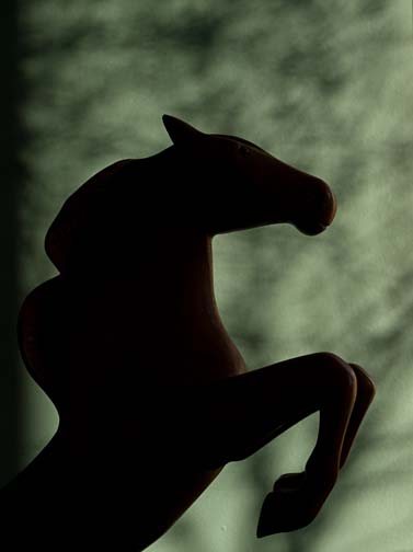 Shadows 4322