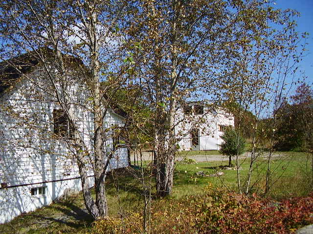 South view- House and Large Shed