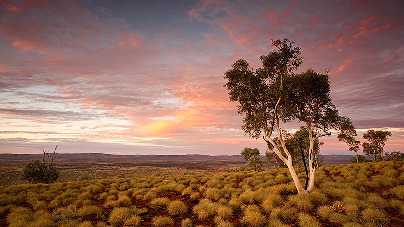 Mt Vigors at dusk