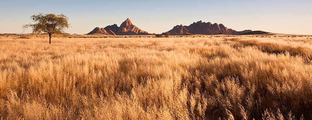 Spitzkoppe Sunrise in Sea of Grass