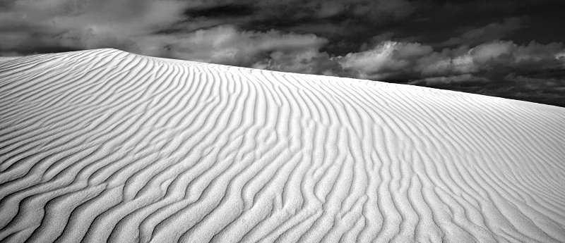 Lancelin Sanddunes Black & White