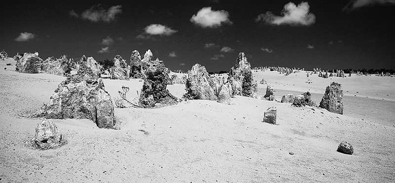 Nambung National Park in bw