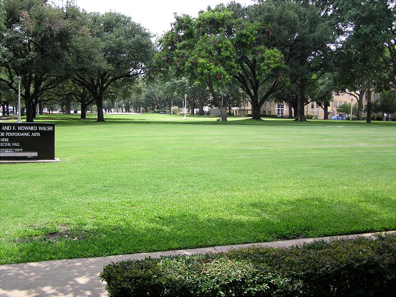 University Looking South