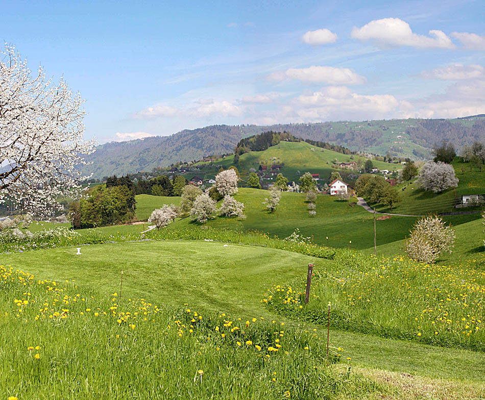 Kuessnacht to Meierskappel (Springtime) Switzerland