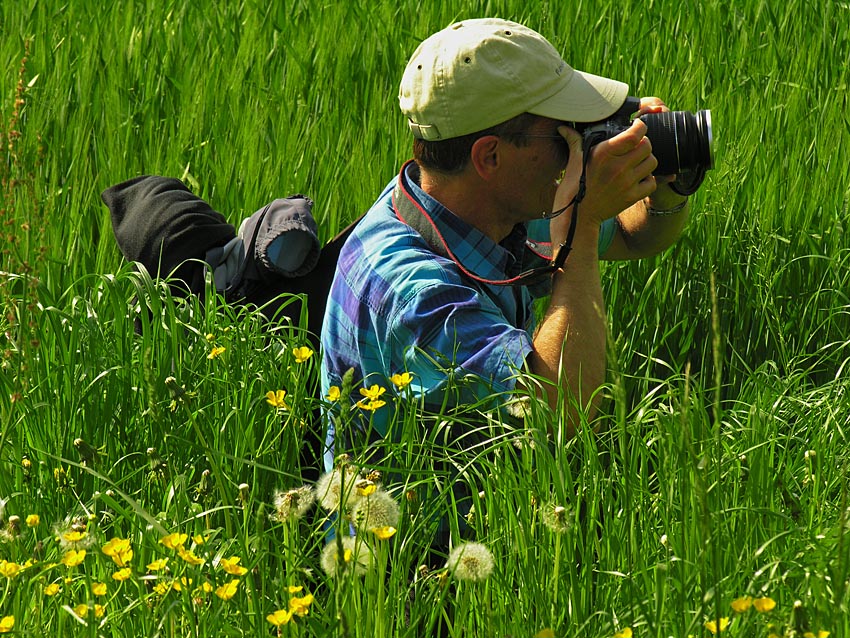 sinking in grass