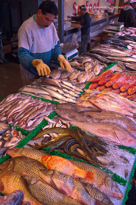 Fish Market