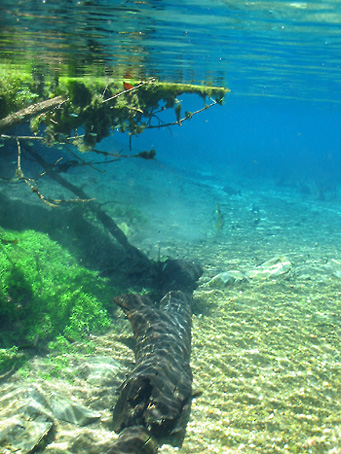 Rio da Prata