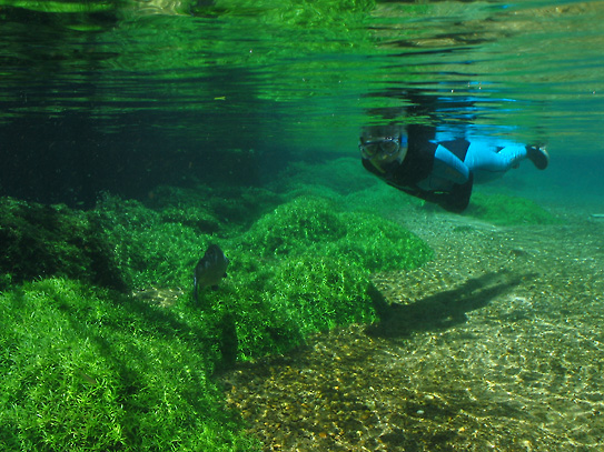 Rio da Prata