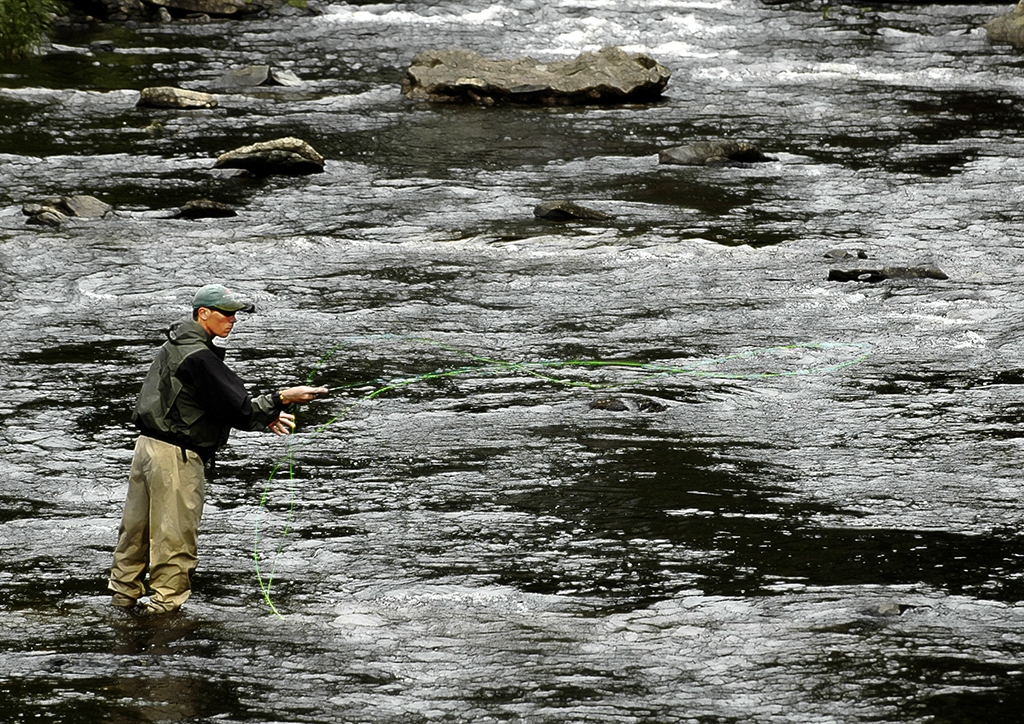 Fly Fishing