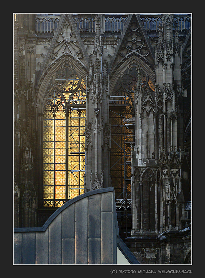 Cologne Cathedral in Sunset Light