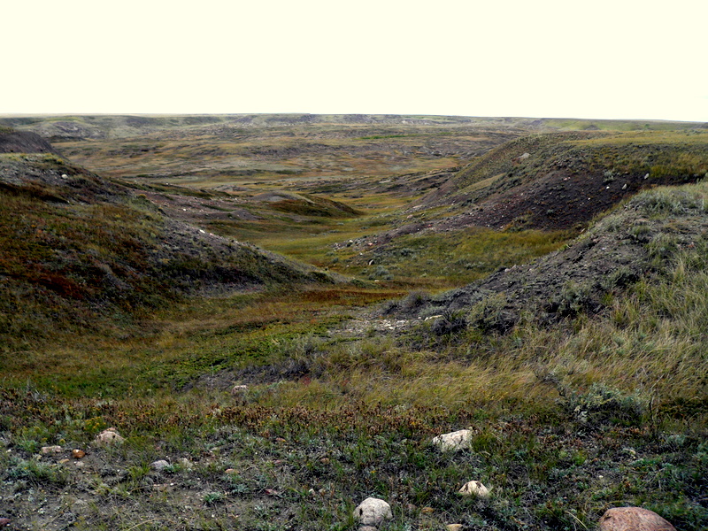 SMALL COULEE.JPG