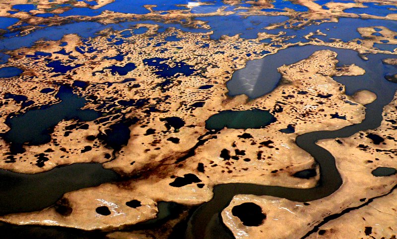 NEAR THE ARCTIC COAST.JPG