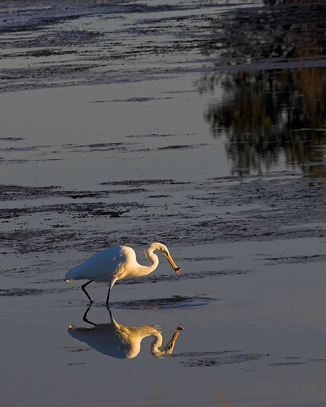 Evening walk