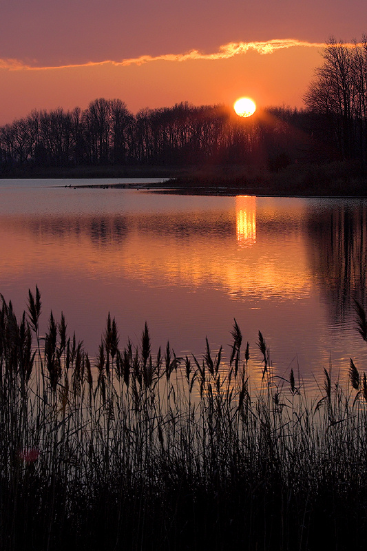 Cold Winter Sunset