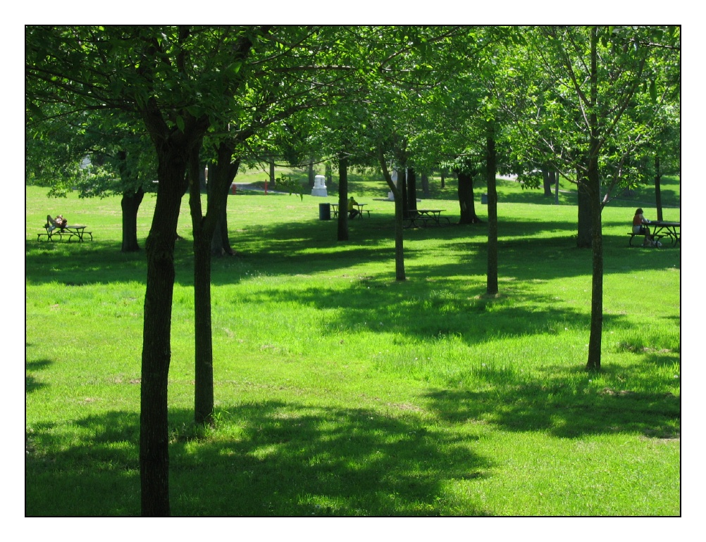 Shades of Green