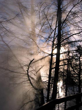 Steam swirls through the trees at Canary Spring