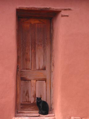 Hubbell Trading Post  Cat