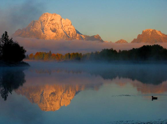 Oxbow Duck Dawn