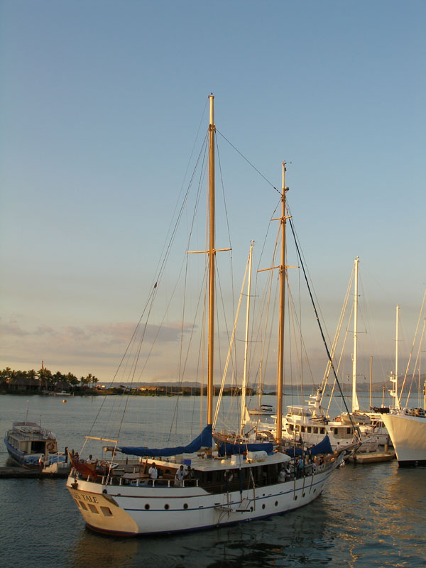 P9081883.jpg