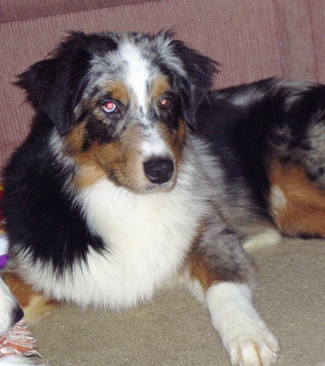 Oz 6 months old