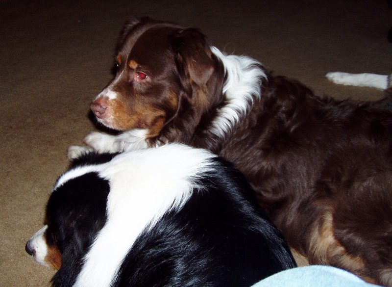 Slinger and Ajax