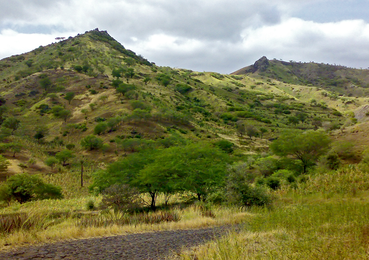  On the road to Liberao