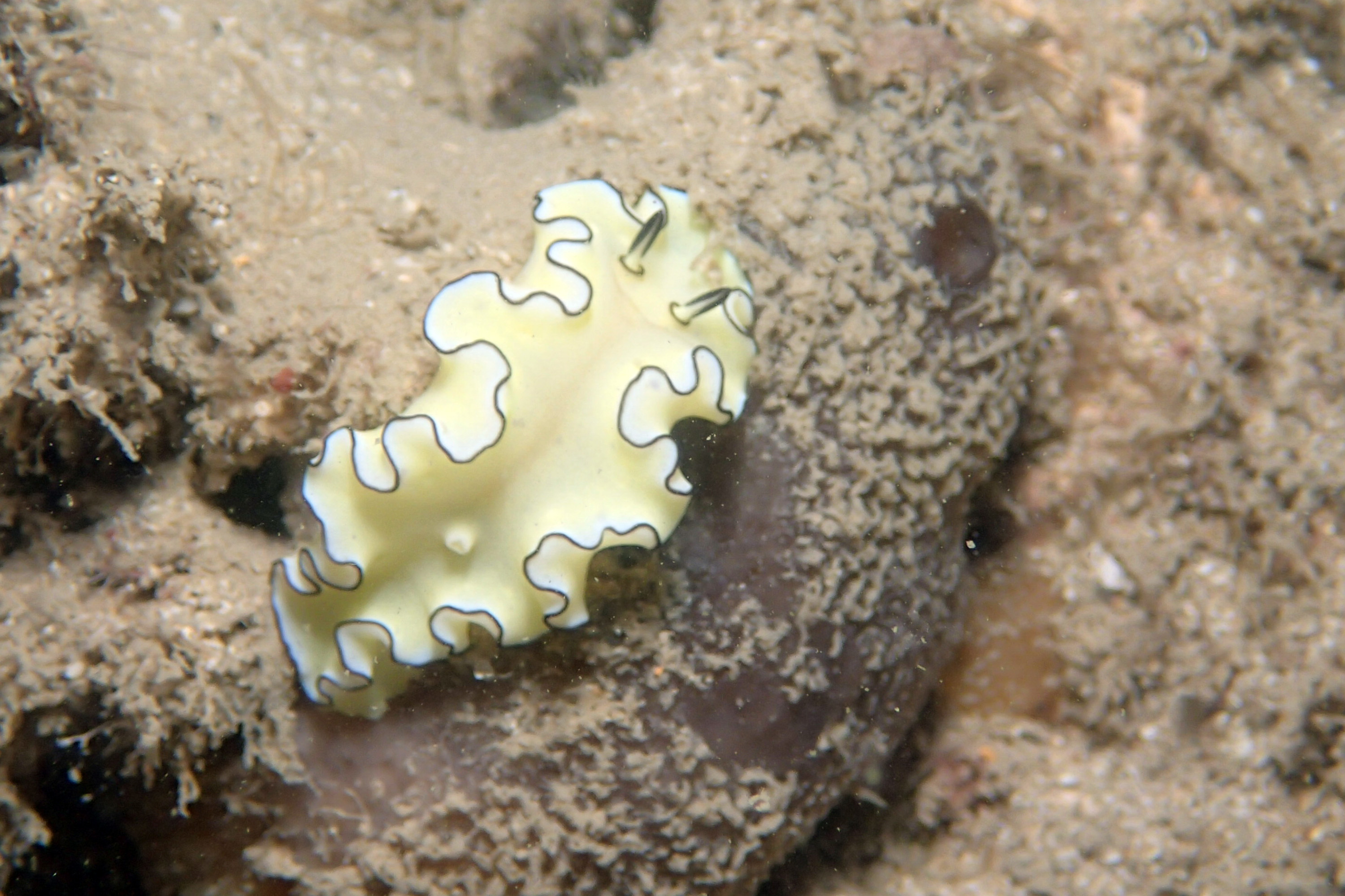 P2240757.JPG