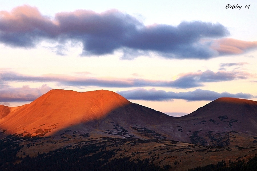 Morning Light