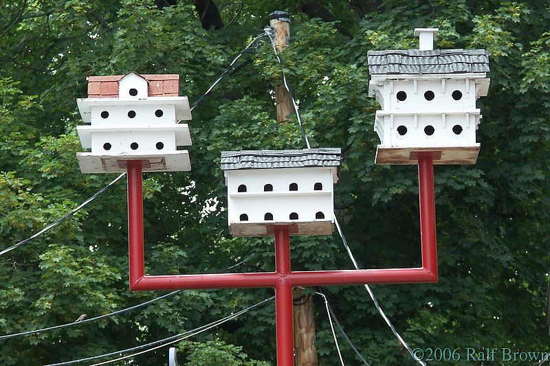 Bird Houses