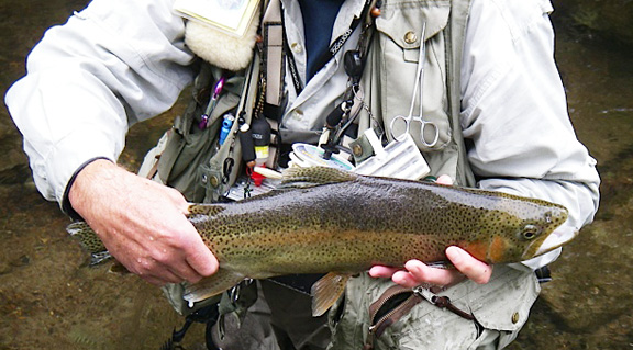 Thats a BIG rainbow!! 44.jpg