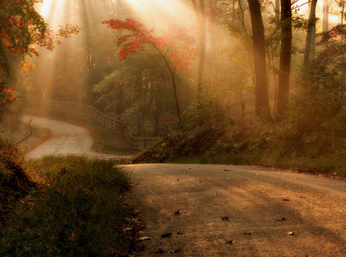 Through the Veil