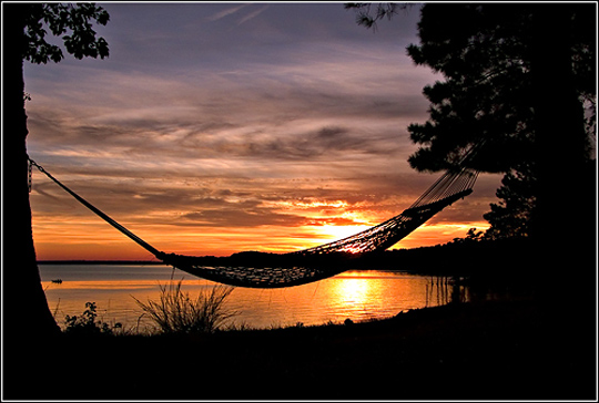 Empty Hammock