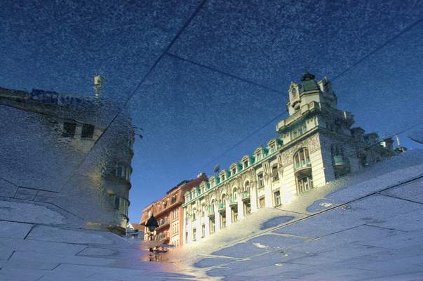 Reflection in Puddle