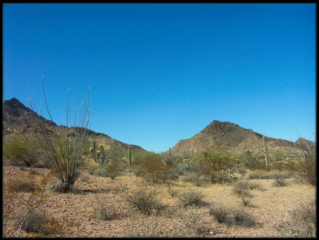 Desert Foothills