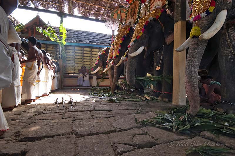 The Assembled Procession