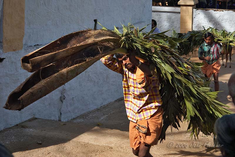 Snack Food for the Elephants