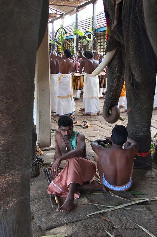 A Pause in the Procession
